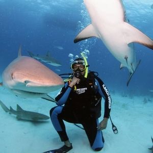 Meet your Posher, Harshil